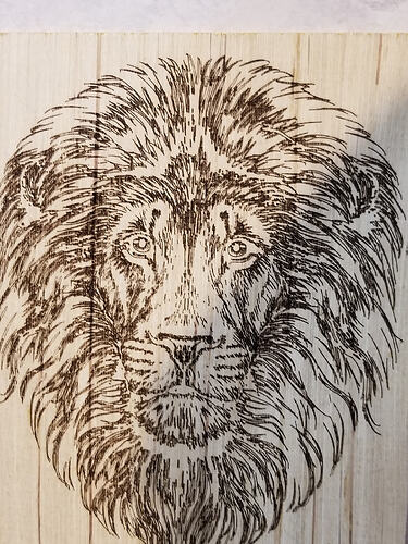 crop-best-lion