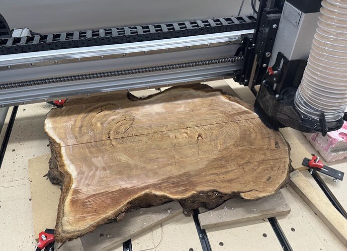 Back face of cedar cookie