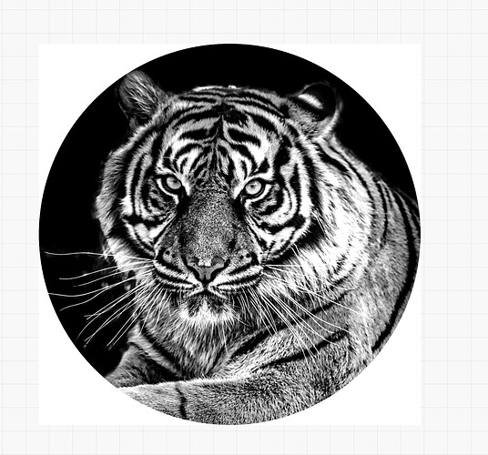 Screenshot tiger
