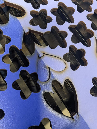 PXL_20260116_153348649