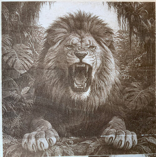 IMG_1138