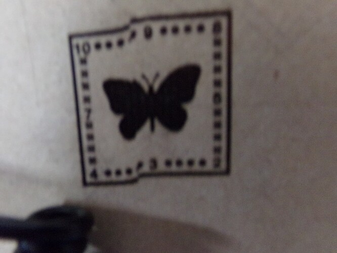 Butter fly