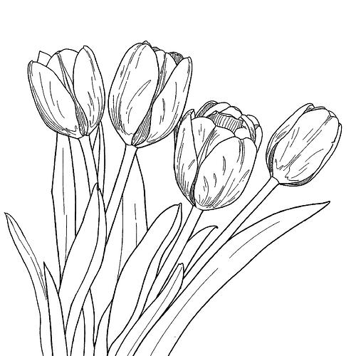 tulips simplified bw high contrast