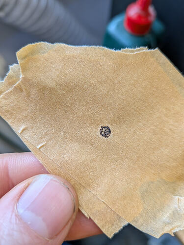 PXL_20260210_121121508.MACRO_FOCUS.RAW-01.COVER