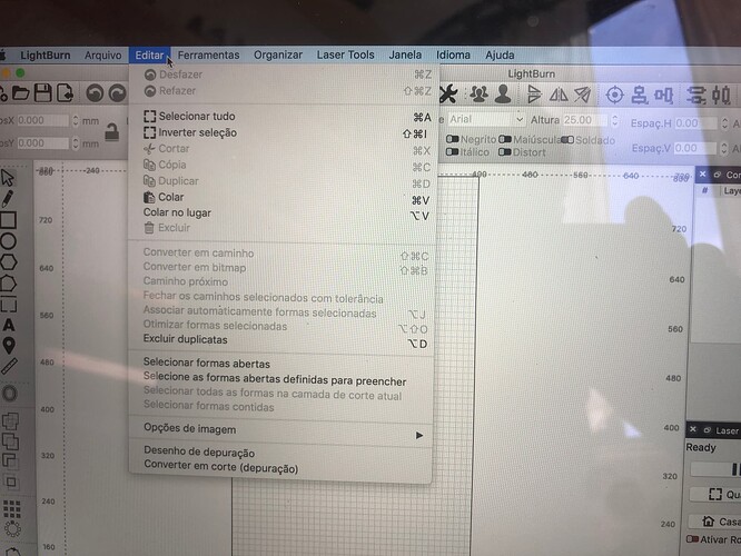 menu editar  light burn