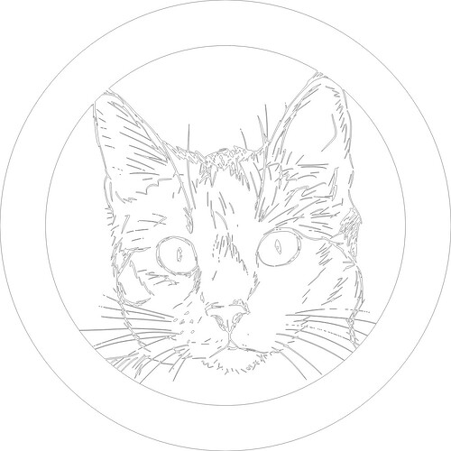 CatExample1