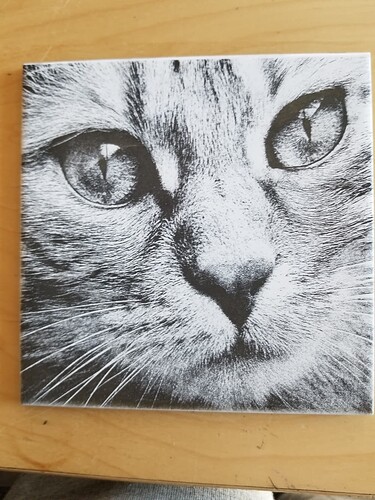laser-cat-sm
