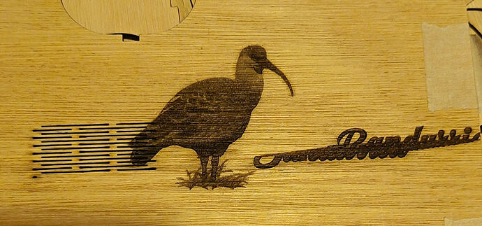 IMG_20260107_215700_edit_3048056883174215