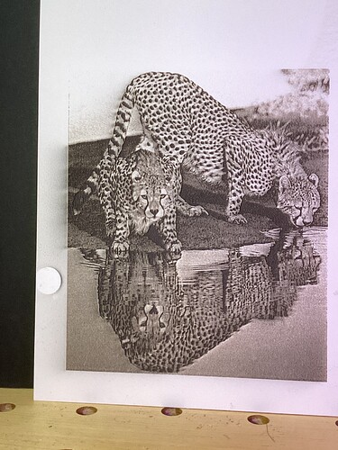 Leopards with 'SPLASHes' on Sculpfun upon Acid-free Cardstock