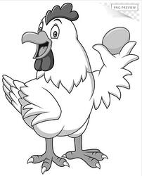 Chicken jpg