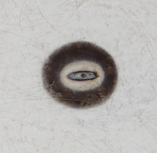 A24 Laser Spot Analysis 01