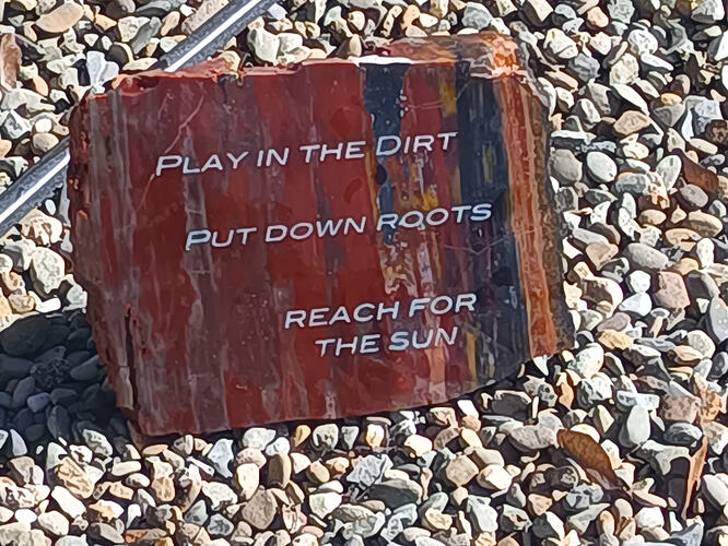 IMG_20250228_134639_549