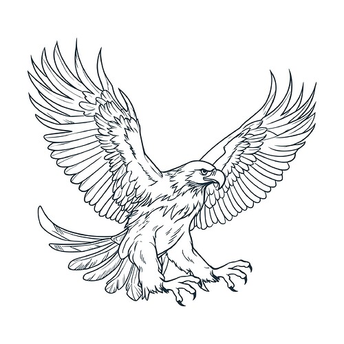 large eagle