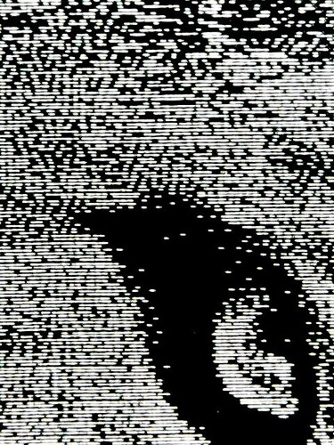 Opt XT 50 business card 847 DPI