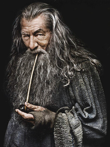 gandalf cropped