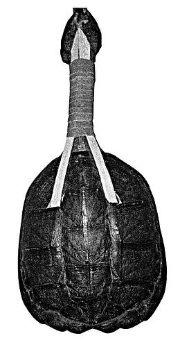 rattle0915-308-Norton