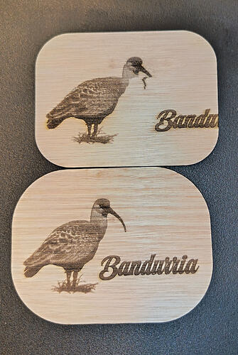 IMG_20260107_213558_edit_3046865398268914