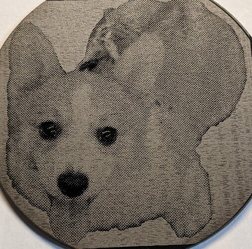 Dog photo at 6000mm 25 percent 300dpi on acrylic