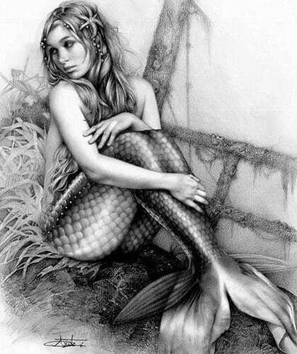 Charcoal-Mermaid-Drawing