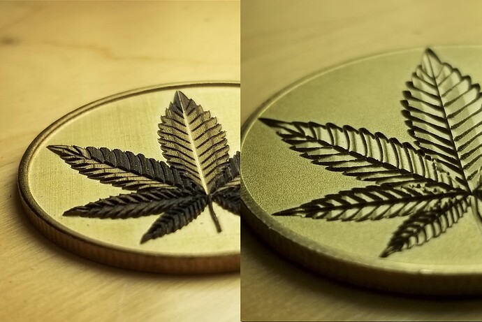 raised-engraved-coin-leaf