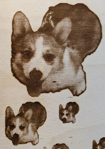 Pet photo laser marked at 3 different scales