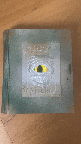 IMG_2967-ezgif.com-optimize