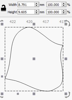 onion size