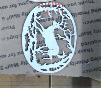 deer singl2