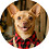 PrimeBarkMark