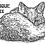 Roguefox