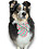 SassyPuppy